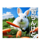 にんじん畑の白ウサギ（個別スタンプ：20）