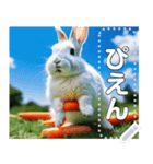 にんじん畑の白ウサギ（個別スタンプ：24）