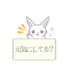 日常使い3※うさぎさん（個別スタンプ：1）