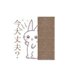 日常使い3※うさぎさん（個別スタンプ：3）