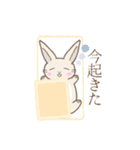 日常使い3※うさぎさん（個別スタンプ：5）