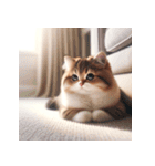 愛らしいミヌエット猫（個別スタンプ：26）