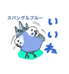 セキセイインコ図鑑1（個別スタンプ：1）