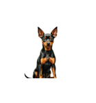 小型犬スタンプ(リアル)（個別スタンプ：11）