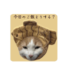 猫のムーたんダヨ2（個別スタンプ：8）