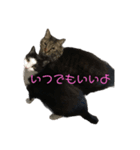 しゅうはぐ（個別スタンプ：2）