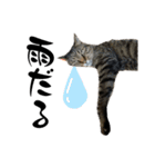 しゅうはぐ（個別スタンプ：5）