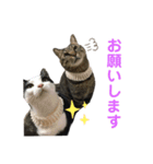 しゅうはぐ（個別スタンプ：9）