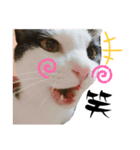 しゅうはぐ（個別スタンプ：10）