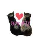 しゅうはぐ（個別スタンプ：11）