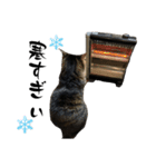 しゅうはぐ（個別スタンプ：12）