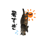 しゅうはぐ（個別スタンプ：13）