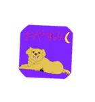 かわいいワンコのスタンプ！（個別スタンプ：7）