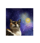 ねっこといっぬ(ほぼねっこ)（個別スタンプ：6）