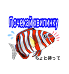 海水魚のリロ(ウクライナ語と日本語)（個別スタンプ：11）