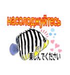 海水魚のリロ(ウクライナ語と日本語)（個別スタンプ：12）