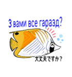 海水魚のリロ(ウクライナ語と日本語)（個別スタンプ：23）