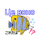 海水魚のリロ(ウクライナ語と日本語)（個別スタンプ：24）