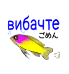 海水魚のリロ(ウクライナ語と日本語)（個別スタンプ：25）