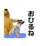 愛しのウィ子 日常会話 春編（個別スタンプ：25）