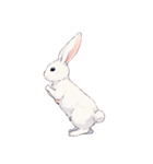 色んなウサギ（絵的な）（個別スタンプ：7）