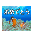 クマノミと海の仲間大好き。沖縄行きたい11（個別スタンプ：3）