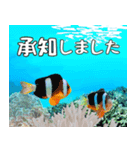 クマノミと海の仲間大好き。沖縄行きたい11（個別スタンプ：13）