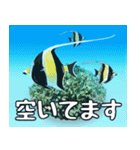 クマノミと海の仲間大好き。沖縄行きたい11（個別スタンプ：24）