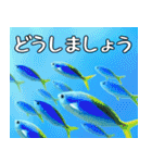 クマノミと海の仲間大好き。沖縄行きたい11（個別スタンプ：26）