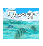 クマノミと海の仲間大好き。沖縄行きたい11（個別スタンプ：29）