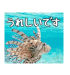 クマノミと海の仲間大好き。沖縄行きたい11（個別スタンプ：32）