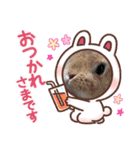 ワンターレン（個別スタンプ：8）