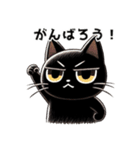 目つきの鋭い黒猫の日常挨拶スタンプ（個別スタンプ：5）