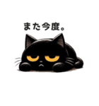 目つきの鋭い黒猫の日常挨拶スタンプ（個別スタンプ：6）