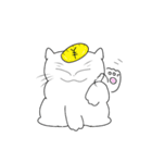 白猫ポコ太（個別スタンプ：3）