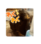 癒しモルのジョニーとベネディクト（個別スタンプ：23）
