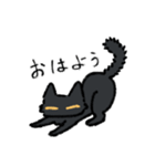 黒猫さんの会話（個別スタンプ：3）