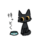 黒猫さんの会話（個別スタンプ：11）