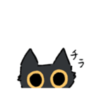 黒猫さんの会話（個別スタンプ：20）