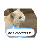 あさり※のりお（個別スタンプ：2）