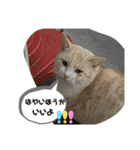 あさり※のりお（個別スタンプ：7）