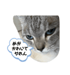 あさり※のりお（個別スタンプ：8）