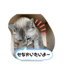 あさり※のりお（個別スタンプ：15）
