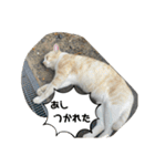 あさり※のりお（個別スタンプ：16）
