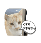 あさり※のりお（個別スタンプ：18）