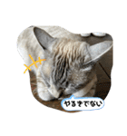あさり※のりお（個別スタンプ：19）