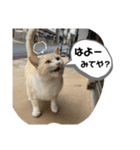 あさり※のりお（個別スタンプ：22）