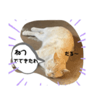 あさり※のりお（個別スタンプ：24）