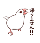 ブチギレた文鳥たち（個別スタンプ：12）