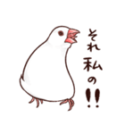 ブチギレた文鳥たち（個別スタンプ：20）